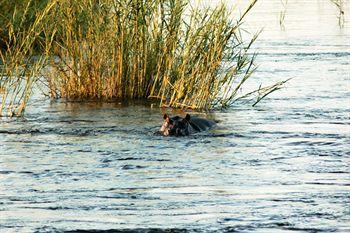 Divava Okavango Resort And Spa Bagani Zewnętrze zdjęcie